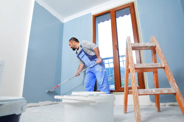 Best Forensic Mold Investigation  in Gulf Hills, MS