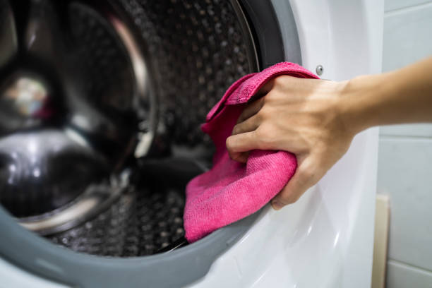 Best Mold Damage Restoration  in Gulf Hills, MS
