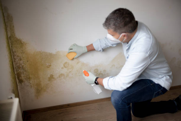 Best Indoor Air Quality Assessment  in Gulf Hills, MS